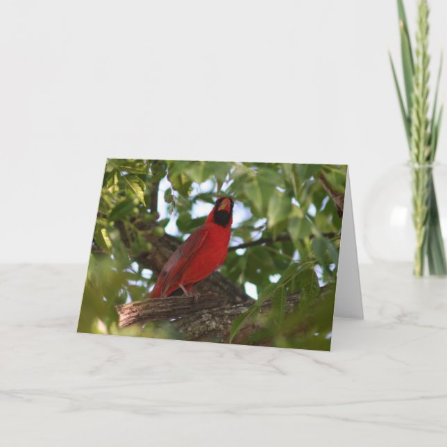 Daddy Redbird Card (Front)
