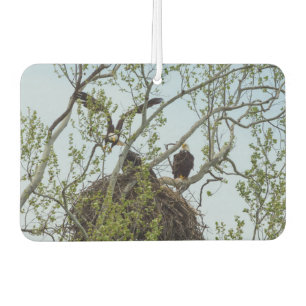 Daddys Home Air Freshener