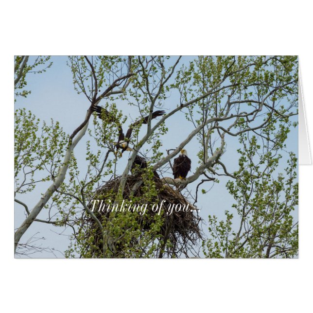 Daddys Home Thinking Of You Card (Front Horizontal)