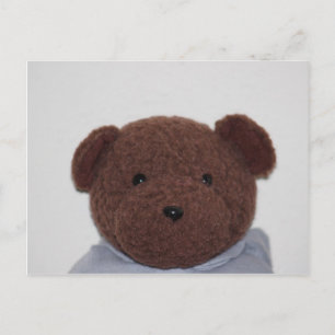Daddys Teddy Bear Postcard