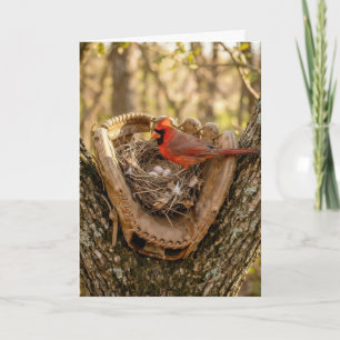Dad's Birthday Cardinal Nest in a Baseball Glove Card