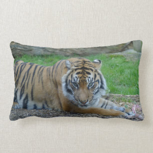 Dad's Tiger Lumbar Pillow