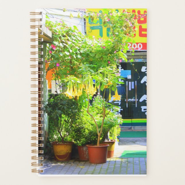 Daegu City Street Planner (Front)