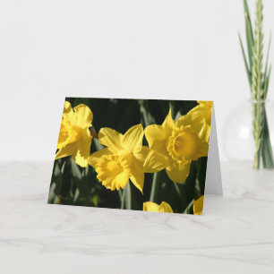 Daffodil 023 card