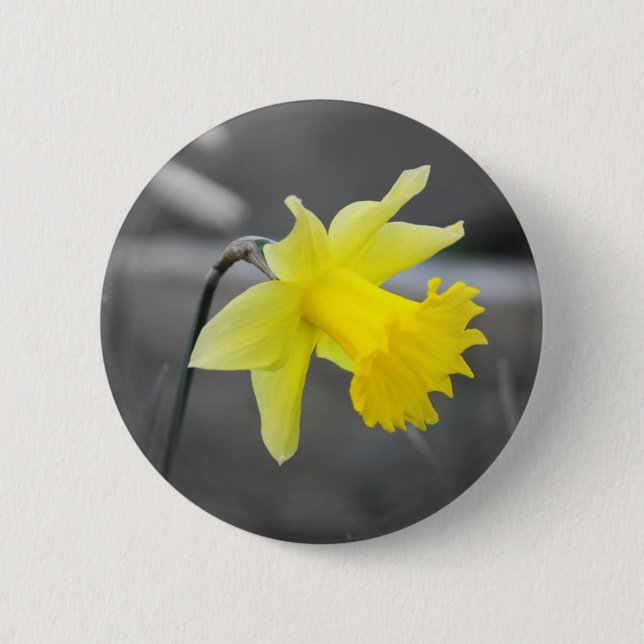 Daffodil 2 Inch Round Button (Front)
