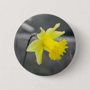 Daffodil 2 Inch Round Button