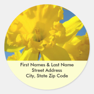 Daffodil Address Labels stickers Custom Names