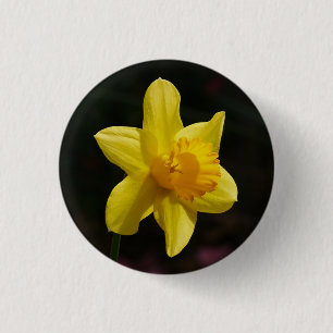 Daffodil Badge 1 Inch Round Button