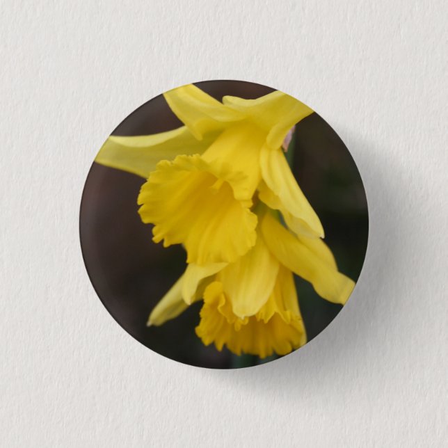 Daffodil Badge 1 Inch Round Button (Front)