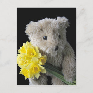 daffodil bear postcard