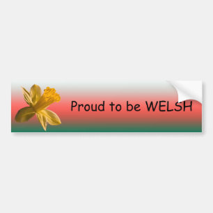 Daffodil Bumper Sticker