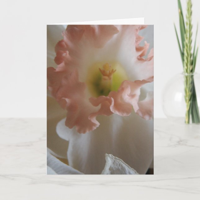 Daffodil Card (Front)