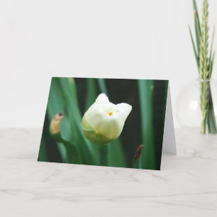 Daffodil Card