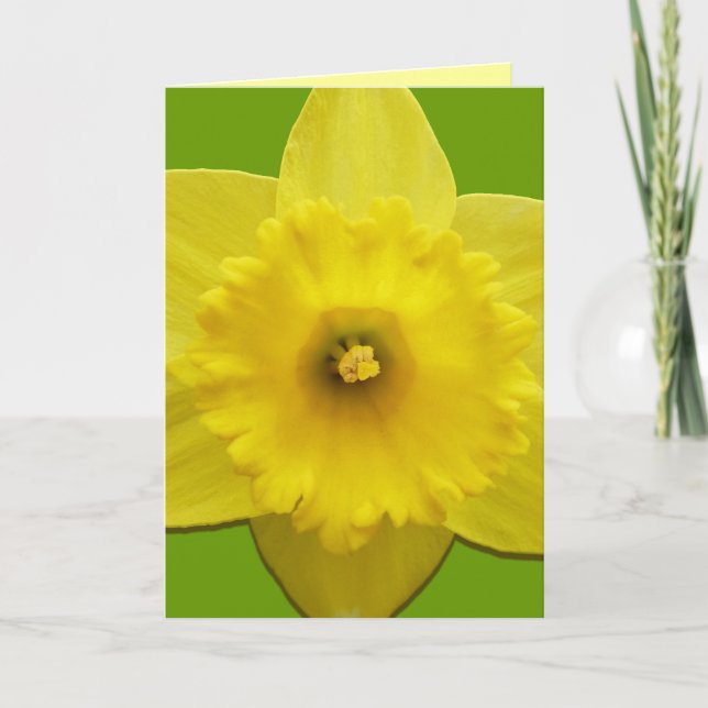 Daffodil Cards Personalized Daffodil Flower Cards (Front)