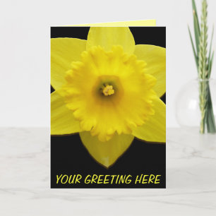 Daffodil Cards Personalized Daffodil Flower Cards