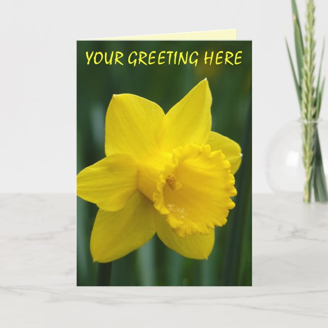 Daffodil Cards Personalized Daffodil Flower Cards (Front)