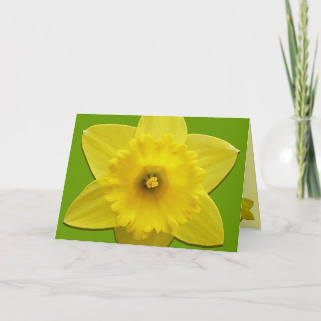 Daffodil Cards Personalized Daffodil Flower Cards (Front)