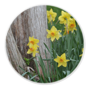 Daffodil Ceramic Knob