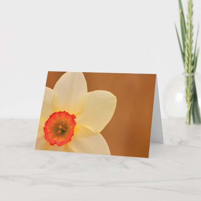 Daffodil Chemo Cancer Support Card (Front)
