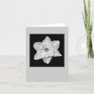 Daffodil Close-up (B&W) Blank Note Card