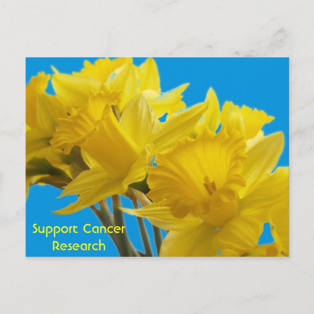 Daffodil Days Postcard (Front)