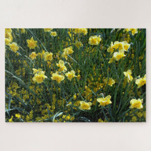 Daffodil delight jigsaw puzzle