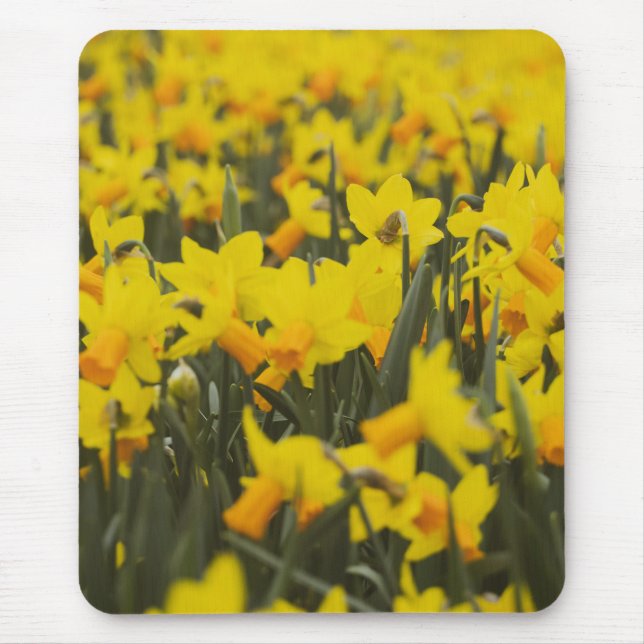 Daffodil Field Mouse Pad (Front)