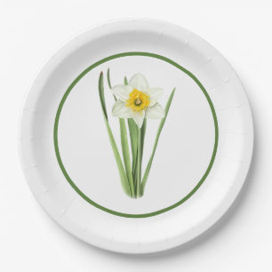 Daffodil Flower Bordered Botanical Art  Paper Plate