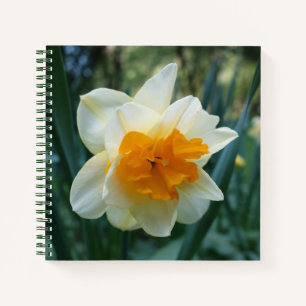 Daffodil Flower Notebook