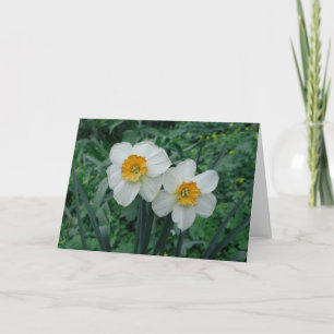 Daffodil Flowers Card