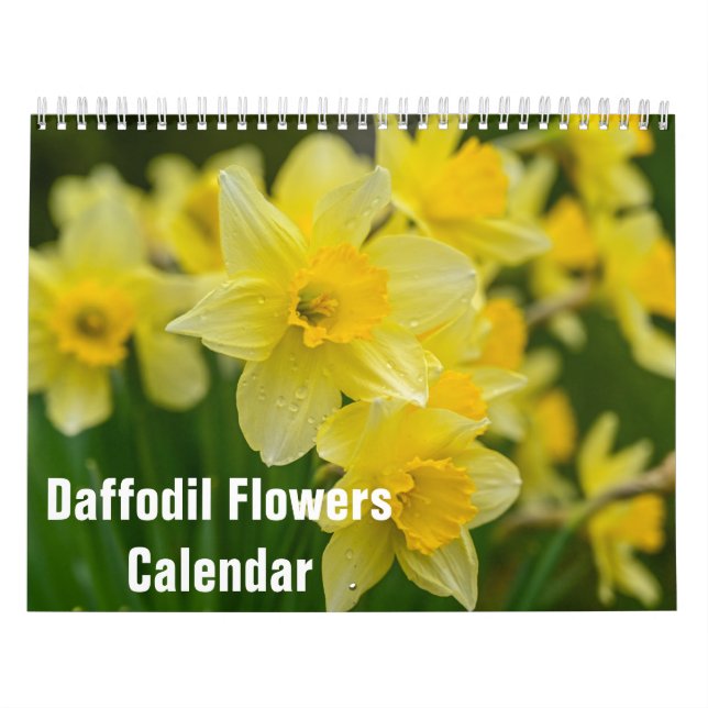 Daffodil Flowers Floral 2025 Calendar (Cover)