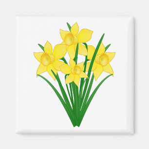Daffodil Flowers Magnet
