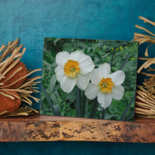 Daffodil Flowers Plaque