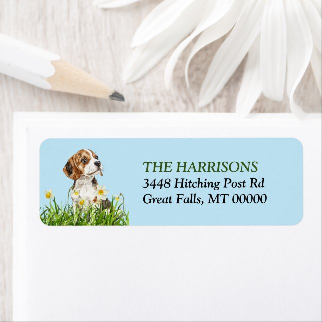 Daffodil Garden Beagle Dog Puppy (Insitu)