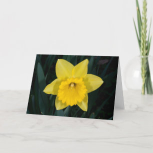 Daffodil greeting card