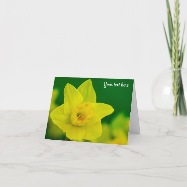 Daffodil Greeting Card (Front)
