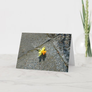 Daffodil Greeting Card