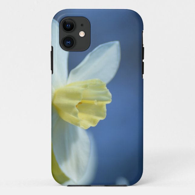 Daffodil in Spring Case-Mate iPhone Case (Back)