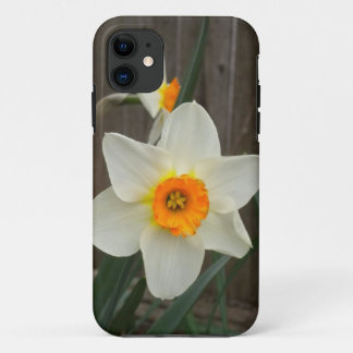 Daffodil iPhone 5 Case