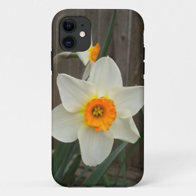 Daffodil iPhone 5 Case (Back)