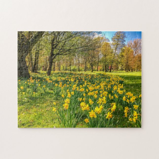 DAFFODIL JIGSAW PUZZLE (Horizontal)