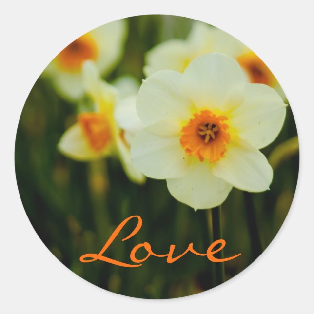 Daffodil • Love Sticker (Front)