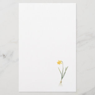 daffodil(Narcissus pseudo-narcissus) by Redouté Stationery