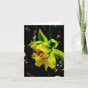 Daffodil Note Card