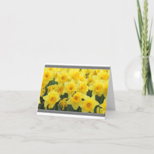 DAFFODIL NOTE CARDS
