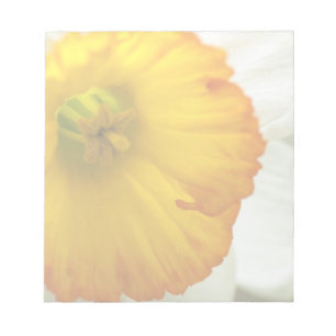 Daffodil Notepad