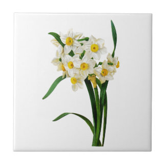 Daffodil or Narcissus By Pierre Joseph Redoute Tile