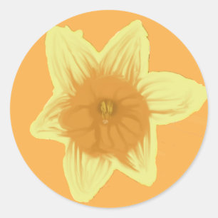Daffodil Orange Yellow Stickers