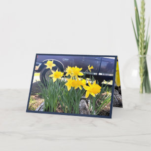 Daffodil par ma vieille carte de voeux camion, gra
