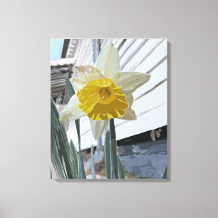 Daffodil Portrait Canvas Print